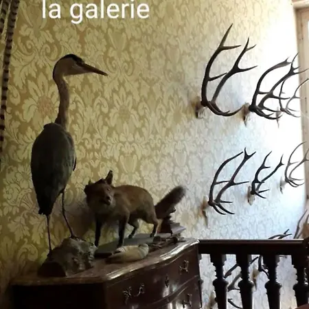 Chateau De Famille En Poitou بيت للعطل